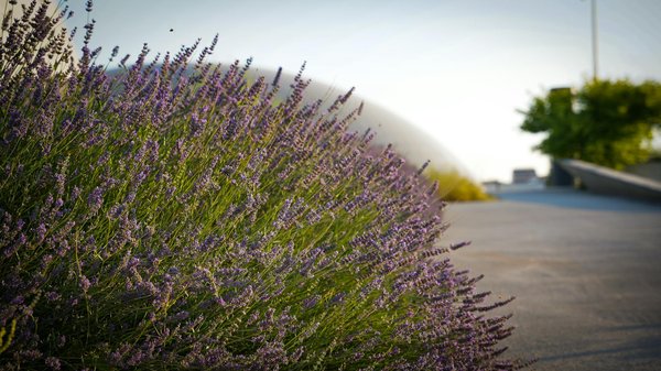 Où trouver la bâche pour piscine sur mesure idéale ?