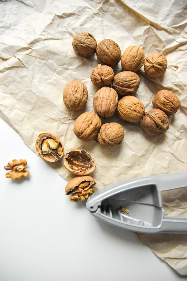 Les meilleurs outils ergonomiques pour ramasser les noix au jardin