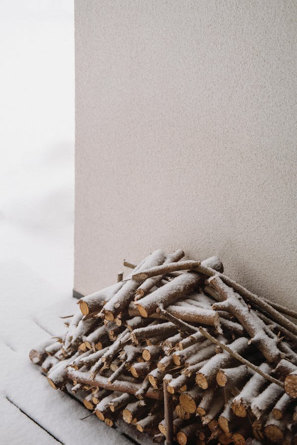 Améliorez l'efficacité de votre scierie grâce au combiné nor-cut